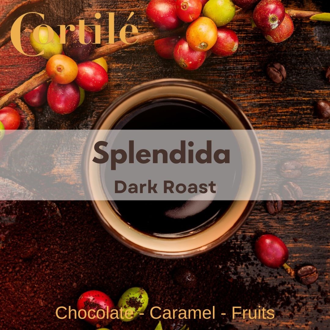 Splendida Coffee Blend Dark Roast 250g